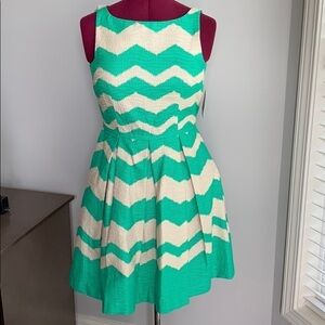 Taylor fit and flare green and white Burlap Dress
